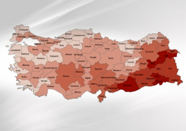 Türkiye'nin çocuk nüfusu açıklandı