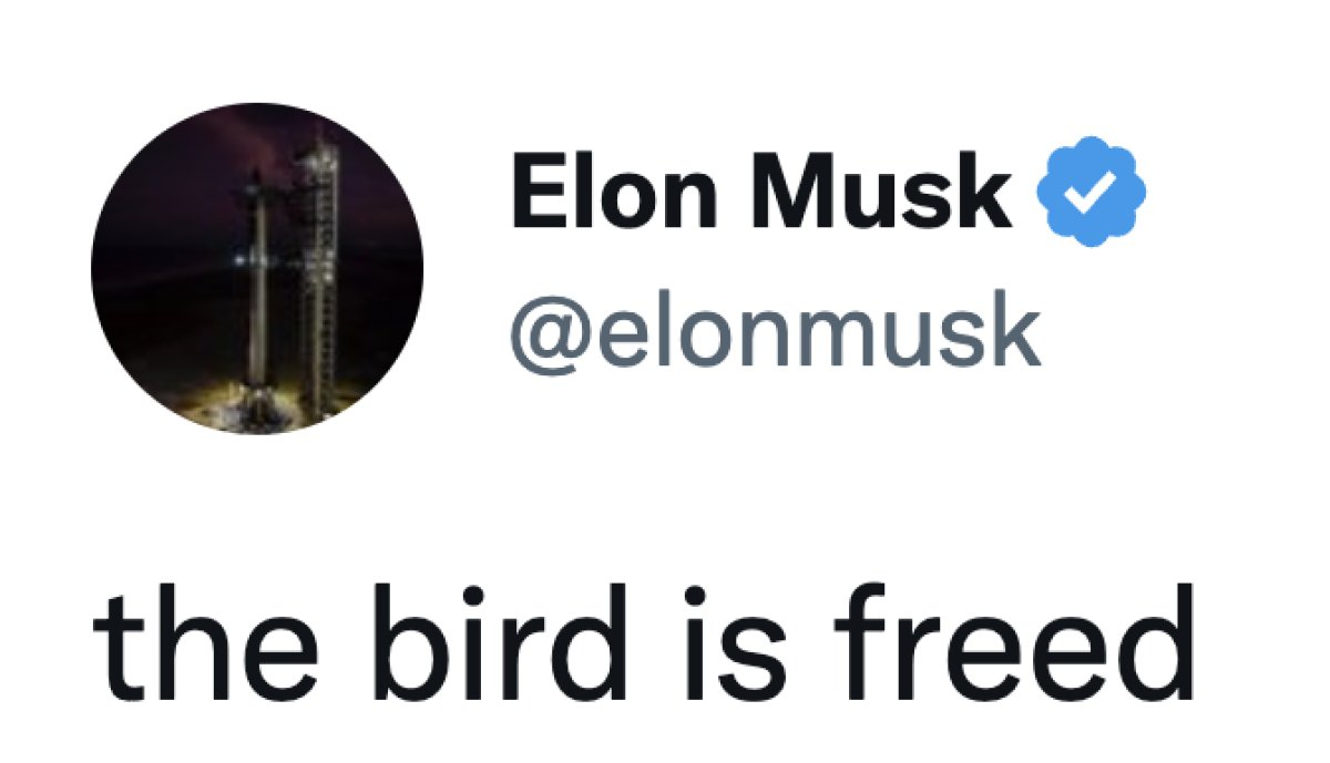 elon-musk_2932