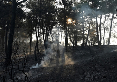 Çanakkale'deki orman yangını kontrol altına alındı