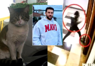 Kedi Eros'u vahşice katletmişti! İbrahim Keloğlan serbest bırakıldı