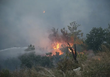 Hatay’daki orman yangınında alevlere evlere sıçradı