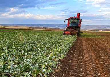 Çiftçiler dikkat! 213 milyon hesaplara yatıyor