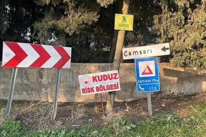 Hatay'da kuduz vakası sonrası karantina